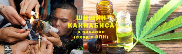 дживик Каменка
