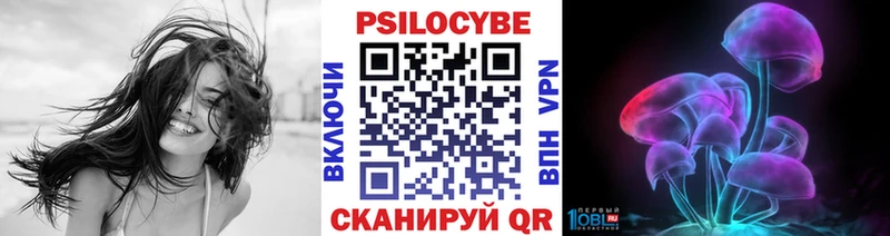 Псилоцибиновые грибы Psilocybe  гидра зеркало  Клинцы 